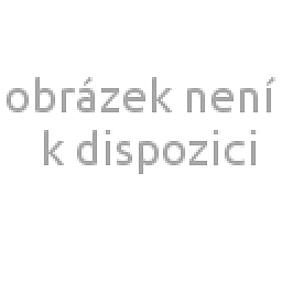 Obrázek pro produkt Polštář paměťová pěna 60x40