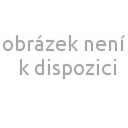 Obrázek pro produkt Antidekubitní sedák 45X40X12 cm